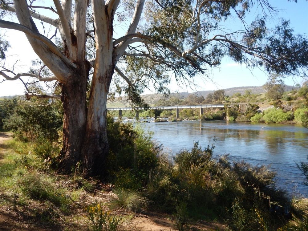 Big4 Hobart Airport Tourist Park Hotel Cambridge Bagian luar foto